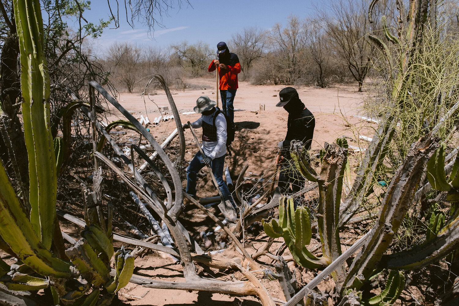 Three people wearing hats and face coverings walk through a desert landscape with cacti and dry vegetation.