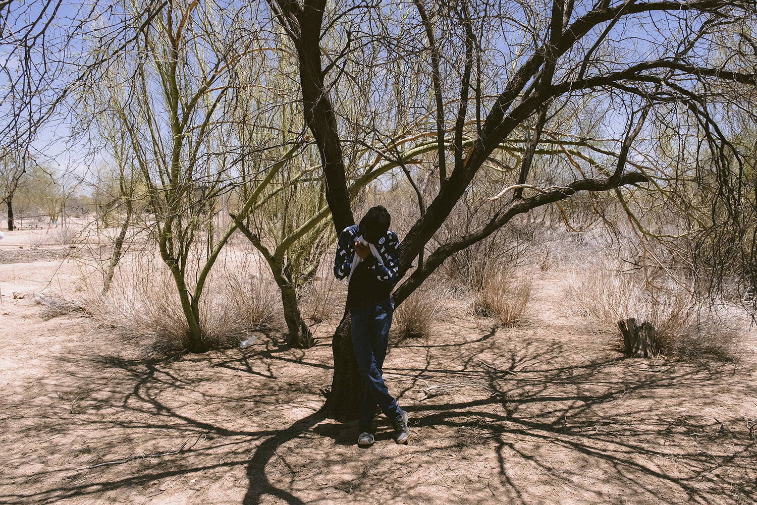 Person standing under a tree in a dry, sparse landscape with shadows on the ground.